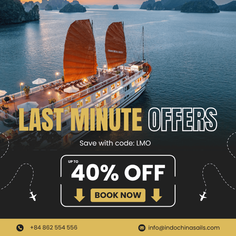 라스트 미닛 특가