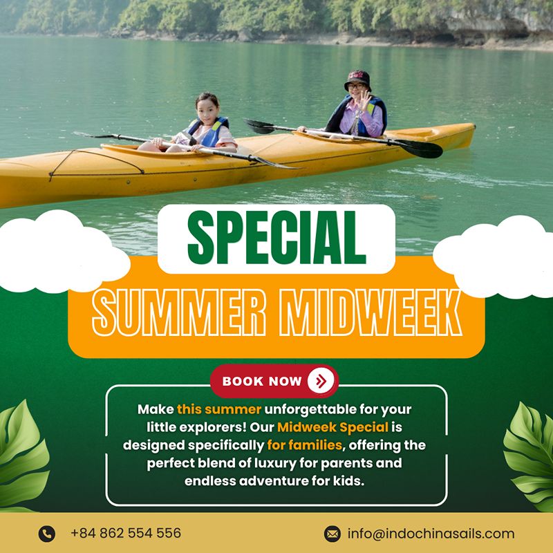 여름 주중 특가